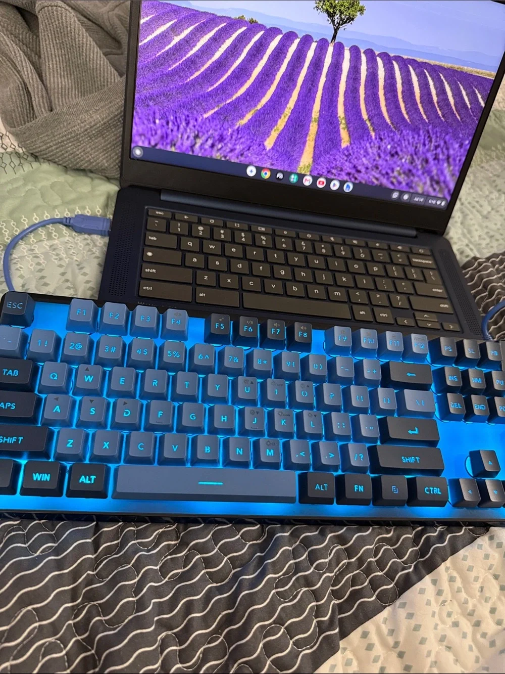Lenovo White and Blue Wired Keyboard and Mouse Combo (Boxed)
